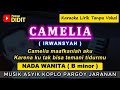 CAMELIA Karaoke Nada WANITA CEWEK IRWANSYAH Pop Koplo Jaranan Camelia Maafkanlah Aku