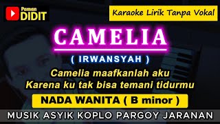 Download lagu CAMELIA - Karaoke Nada WANITA / CEWEK ( IRWANSYAH ) Pop Koplo Jaranan [ Camelia maafkanlah aku ] mp3