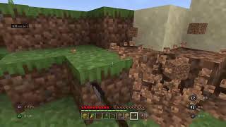 マイクラをただやってる配信