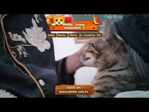 Vídeo de Dokka (nome temporario)