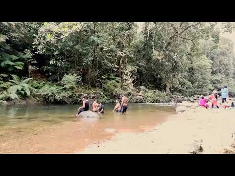 Gin ganga | Sinharaja Forest