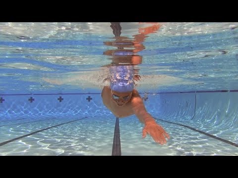 Seven Stroke Phases of Graceful Freestyle-0 Introduction