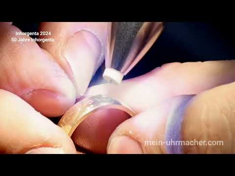 Inhorgenta 2024 - PUK 6 von LAMPERT