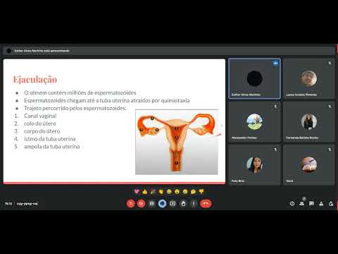 Fecundação - Monitoria embriologia 01/2023