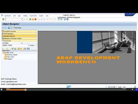 8  Taking ABAP to SAP HANA
