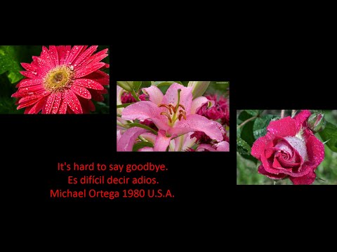 Kenji Kawai - Live Before War (Very Sad Piano) 2009 Japón