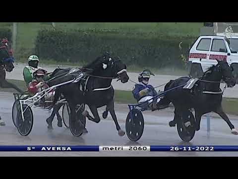 Aversa trotto 26 Novembre 2022 - 5° Corsa