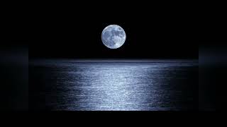 Download lagu L I M O R A / MONA mp3 Download lagu L I M O R A / MONA mp3