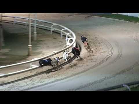 2017 WILLIAM HILL GREAT NORTHERN RUN - HEAT 2 - T1 HEROIC MISS