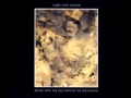 Nurse With Wound - Shattering Man Falling
