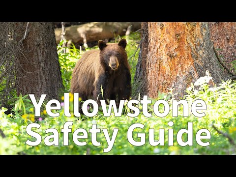 How to Stay Safe in Yellowstone National Park