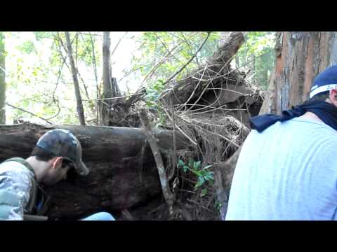 Airsoft at PB Matrix FAMAS ACR Masada FN2000