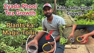 Kala Jadu for Plants 🌱 | Phool Aur Growth Dono Badhao/best fertilizer