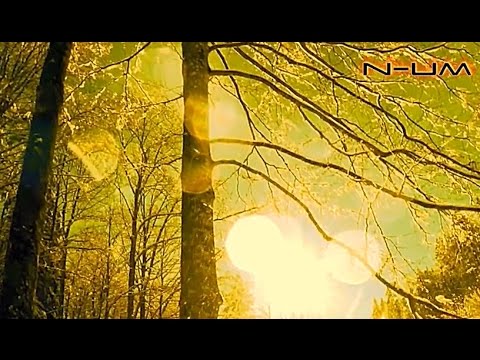 Sedmorica pod hladom Allahova prijestolja