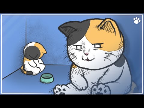 3 Situations When Cats Feel Abandoned