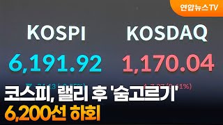코스피, 랠리 후 '숨고르기'…6,200선 하회 / 연합뉴스TV (YonhapnewsTV)