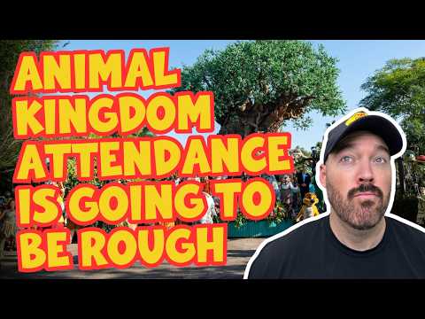 Animal Kingdom Faces A Major Attendance Problem The Next Few Years