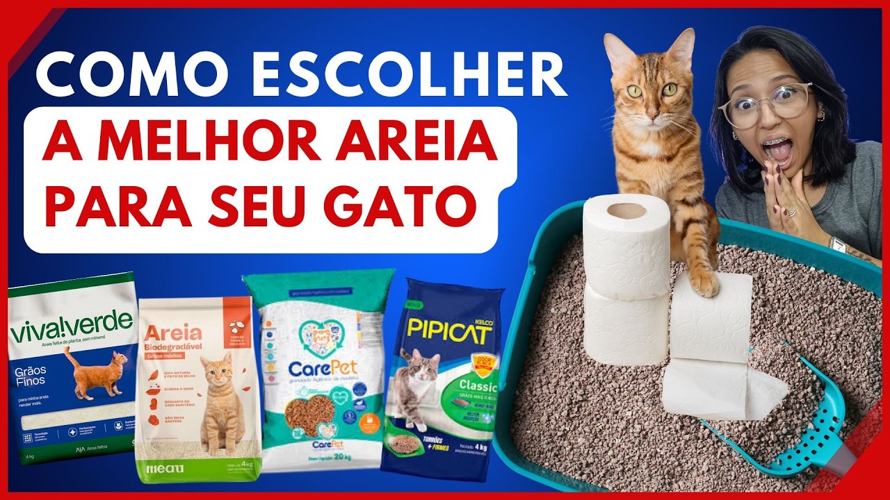 Qual a MELHOR AREIA PARA GATO? Seu GATO FELIZ e SAUDÁVEL