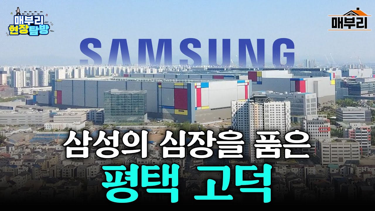 매일경제