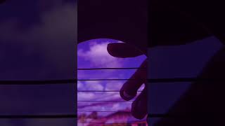 Download lagu Late Night Melancholy// Rude Boy and white cherry (Short Fingerstyle Cover) mp3 Download lagu Late Night Melancholy// Rude Boy and white cherry (Short Fingerstyle Cover) mp3