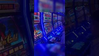 Gambling Time | carnival cruise line Australia | Casino | deep sea | Sydney | Australia 🇦🇺