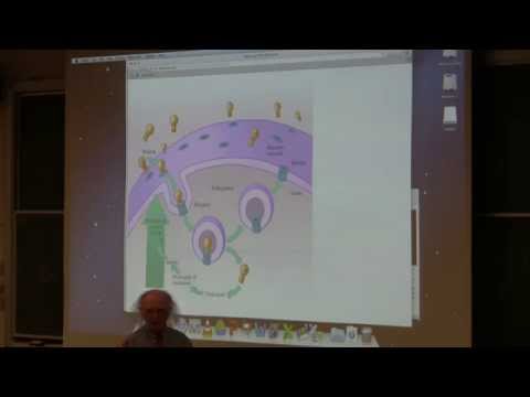 Kevin Ahern's BB 350 (Lipids & Membranes III / Nucleic Acids) 2014 - #14