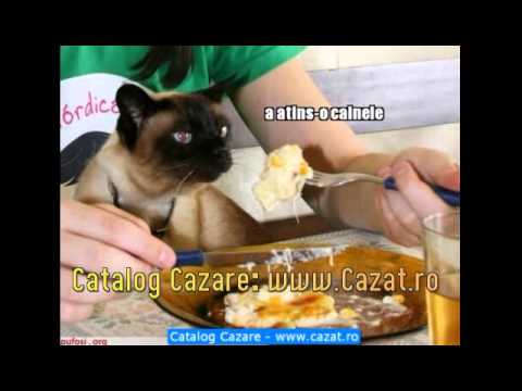 Cazare Rauti, Timis - Cazat.ro