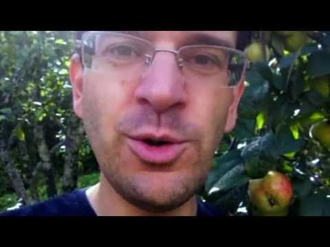 Trompete lernen braucht Zeit