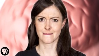 The Nature of Memory