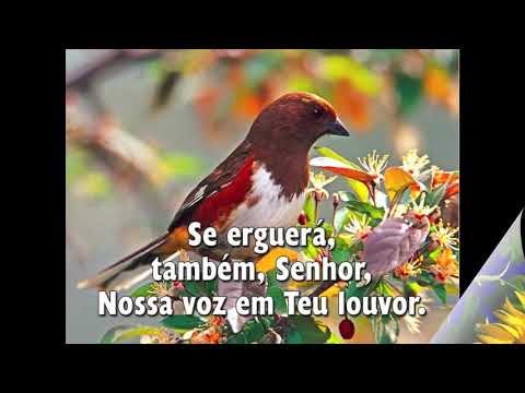 Hinário Adventista 006 - Por Belezas Naturais - HD