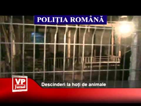 Descinderi la hoți de animale