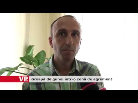 Groapă de gunoi într-o zonă de agrement