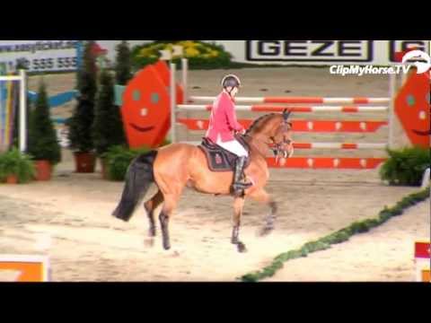 Preis der ALLIANZ Generalversicherung Issler & Abel und der Firma XXL-Sicherheit- SGM