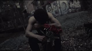 Red Heart Roses Music Video
