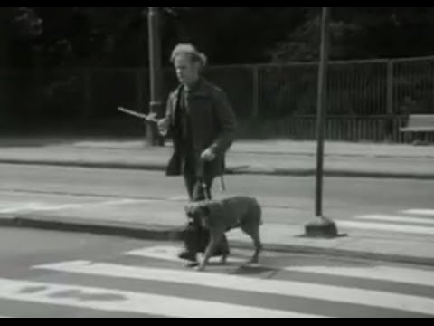 , title : 'Opleiding voor blindengeleide honden (1975)'