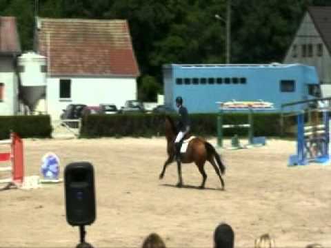 Edward LEVY -Quina (GP 135cm)