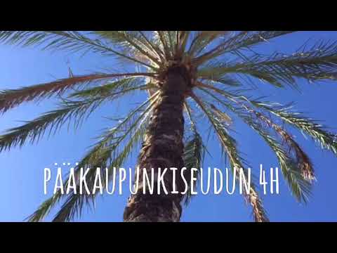 Study visit to Sicily / day 1