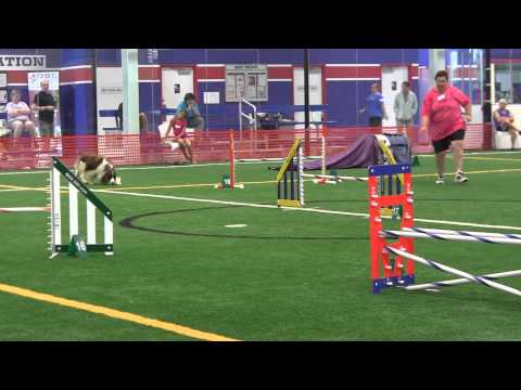 Eastman ExP Std JAG in Branchburg NJ 080413