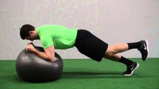 597. Stability Ball Single Leg Plank