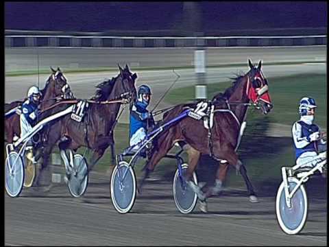 Trotto 13/11/2016 - 7ª corsa