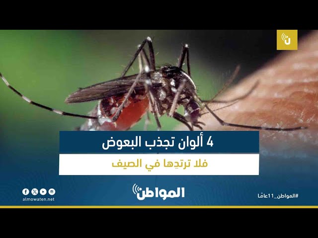 4 ألوان تجذب البعوض فلا ترتدِها في الصيف