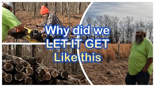 We Neglected our Missouri Ozark Chestnut Farm? Now we need to fix it.