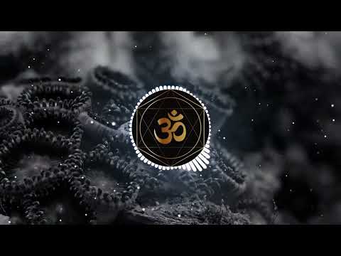 Digital Shamans Records - Z3nkai Dj Set