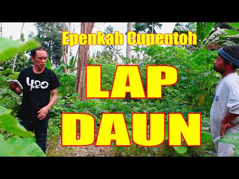 epen-cupen-lapdaun