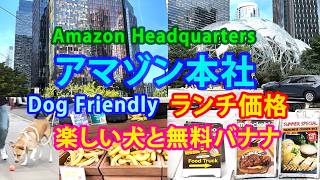 アマゾン本社: ランチ価格、楽しい犬と無料バナナ Amazon Headquarters: Lunch Prices, Friendly Dogs and Free Bananas