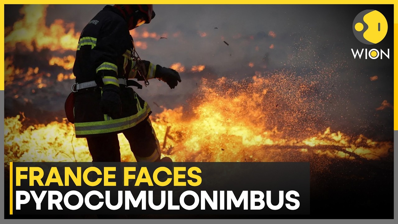 Spain: Fresh Wildfires Break Out In Valencia | WION News