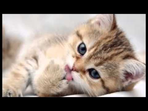 Sessions Deepjavi - Time and sound of deep house