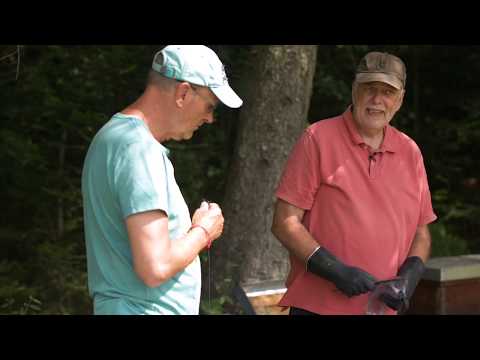 beeMOOC - Varroabehandlung mit Ameisensäure Praxis