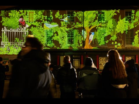 Where Will The Flight Take Us? Projection mapping community art project in Edinburgh