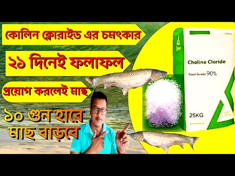 Choline Chloride 90%
